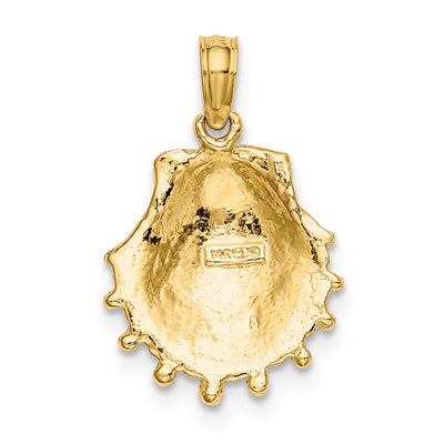 14K Lions Paw Shell Charm, 19 x 13mm