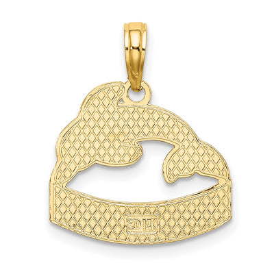 14K SAN DIEGO Banner Dolphins Charm