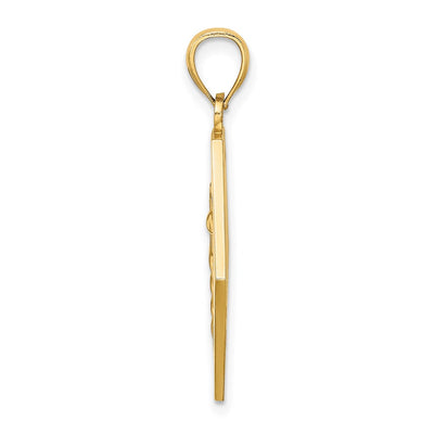 14K Textured Back Caduceus Medical Disc