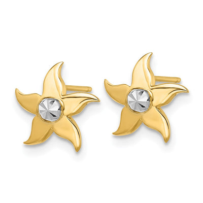 14K w/Rhodium Starfish Post Earrings, 10.67 x 10.67mm