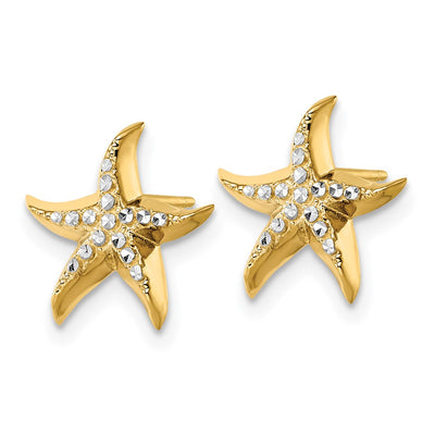 14K w/Rhodium Starfish Post Earrings, 11.9 x 11.9mm