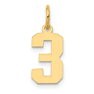 14k Small Polished Number 3 Charm (Style LS03)