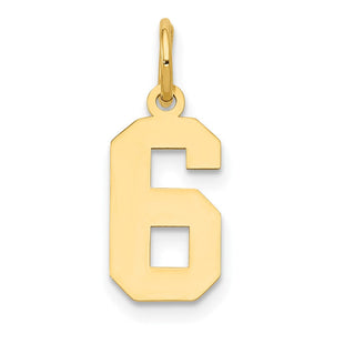 14k Small Polished Number 6 Charm (Style LS06)