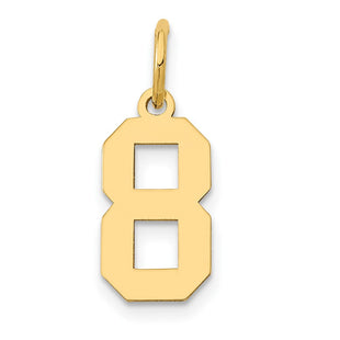 14k Small Polished Number 8 Charm (Style LS08)