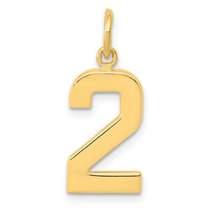 14k Medium Polished Number 2 Charm (Style MP02)