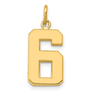 14k Medium Polished Number 6 Charm (Style MP06)