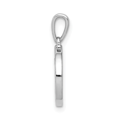 14K White Gold Diamond Paw Print in Circle Pendant