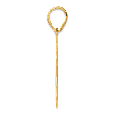 14K Brushed Border Script Number 46 Pendant