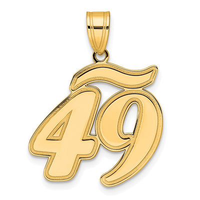 14K Brushed Border Script Number 49 Pendant