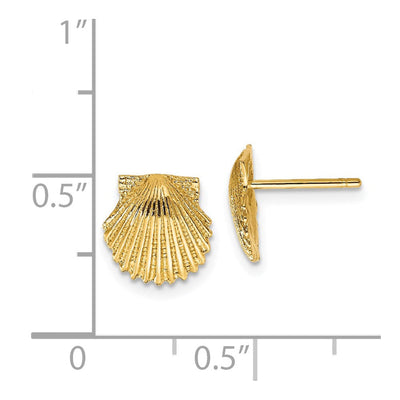 14K Scallop Shell Post Earrings, 9 x 9mm