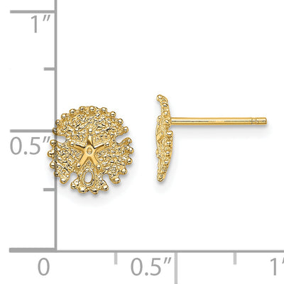 14K Textured Sand Dollar Post Earrings, 8.4 x 8.25mm