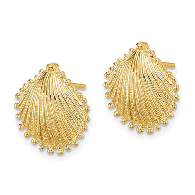 14K Scallop Shell Post Earrings, 14.75 x 14.15mm