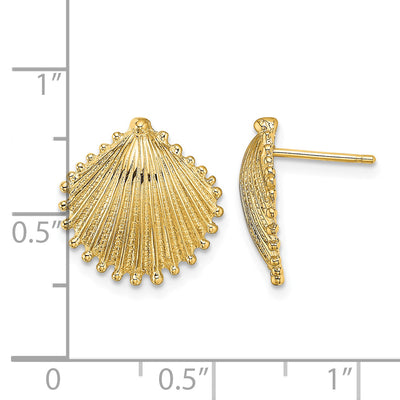 14K Scallop Shell Post Earrings, 14.75 x 14.15mm