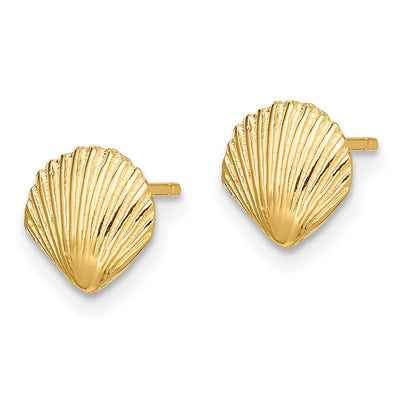 14K Scallop Shell Post Earrings, 8 x 8mm