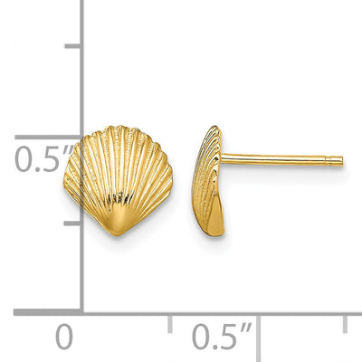 14K Scallop Shell Post Earrings, 8 x 8mm