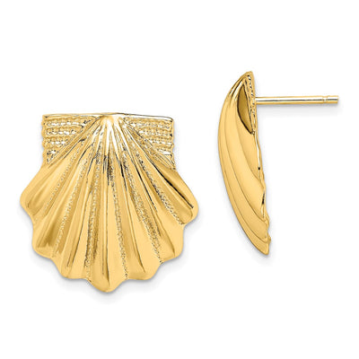 14K Scallop Shell Earrings