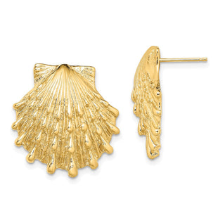 14K Lion's Paw Shell Post Earrings (Style TE810)