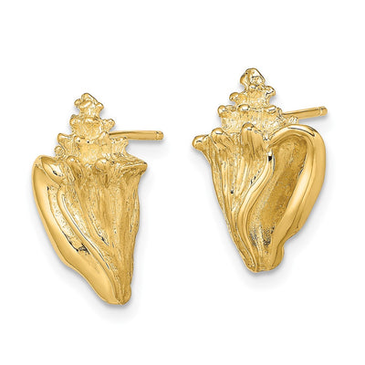 14K 2-D Conch Shell Post Earrings, 15.45 x 10mm