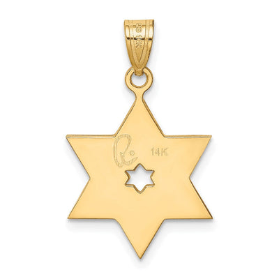 14K Two-tone Star of David Pendant, 25 x 16mm