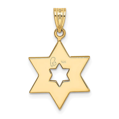 14K Two-tone Star of David Pendant, 25 x 16mm (K687)