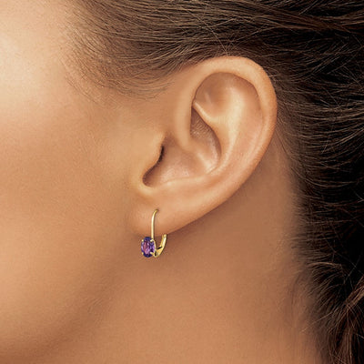 14K Oval Amethyst Leverback Earrings, 16 x 4mm