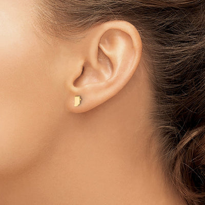 Sterling Silver/Gold-plated Indiana State Earrings