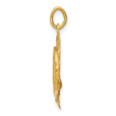 14K Polished/Satin Spanish Guardian Angel Medal Hollow Pendant