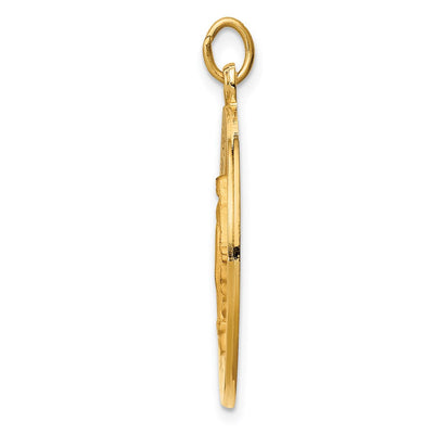 14K Solid Polished/Satin Round Miraculous Medal, 30 x 24mm