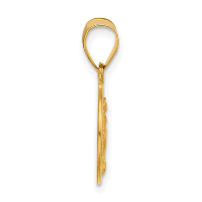 14K Polished and Satin Solid Miraculous Mary Plain Back Medal, 21 x 13.3mm