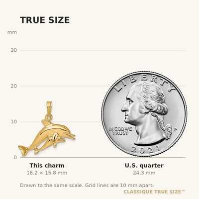 14K 2-D Double Dolphins Swimming Charm