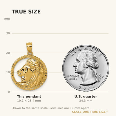 14K Polished Lion with Mane in Textured Circle Pendant