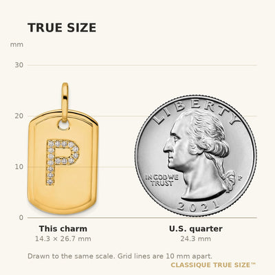 14K Diamond Initial P Dog Tag Charm