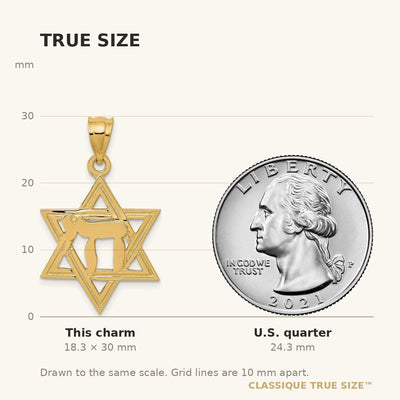14K Solid Polish Chai in Star of David Charm