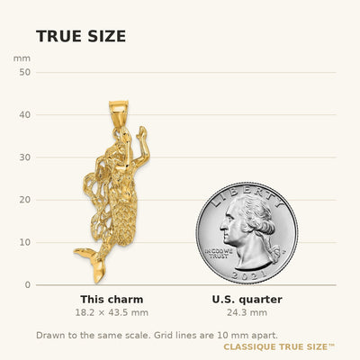 14K 3-D Textured Large Mermaid Charm