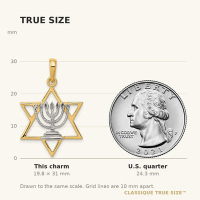 14K w/ White Rhodium Solid Menorah In Star Of David Charm