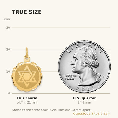 14K Solid Star of David Disc Charm
