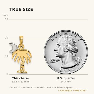 14K W/ Rhodium Polished Charleston Palm Tree Charm
