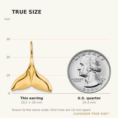 14K Whale Tail Wire Earrings