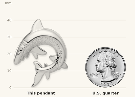 Classique True Size: Sterling Silver Polished & Textured Shark Chain Slide Pendant shown next to a US quarter (24.3 mm)