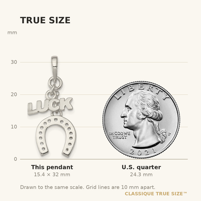 Sterling Silver Polished Luck & Horseshoe Pendant