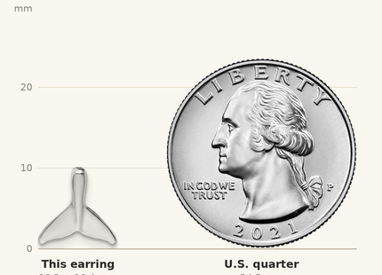 Classique True Size: De-Ani Sterling Silver Rhodium-Plated Polished Mini Whale Tail Post Earrings shown next to a US quarter (24.3 mm)