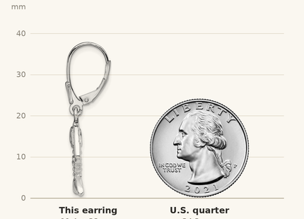 Classique True Size: De-Ani Sterling Silver Rhodium-Plated Polished 3D Fishbone Leverback Earrings shown next to a US quarter (24.3 mm)