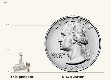 True size: De-Ani Sterling Silver Rhodium-Plated Polished 3D Enameled Golf Bag Pendant shown next to a US quarter (24.3 mm)