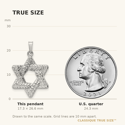 14K White Gold Polished and Textured Solid Star of David Pendant