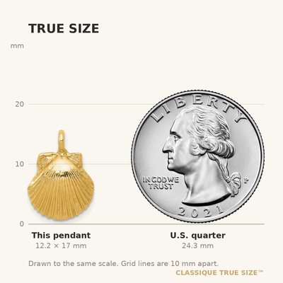 14K Seashell Pendant, 17 x 12mm