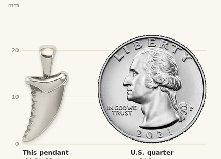Classique True Size: Sterling Silver Antiqued Polished Shark Tooth Pendant shown next to a US quarter (24.3 mm)