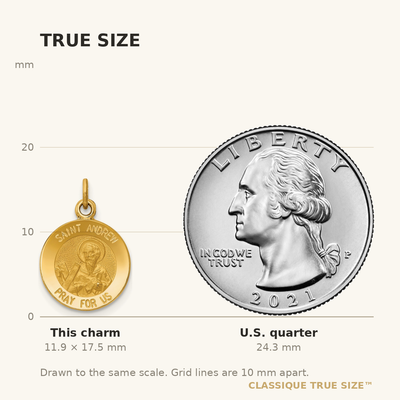 14K Saint Andrew Medal Charm, 17.5 x 12mm
