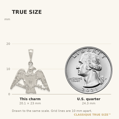 Sterling Silver Eagle Charm, 23 x 29mm