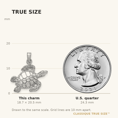14K White Gold Textured Sea Turtle Charm, 20.5 x 20.15mm