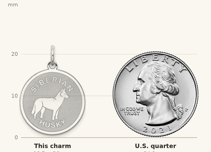 Classique True Size: Sterling Silver Rhodium-plated Siberian Husky Disc Charm shown next to a US quarter (24.3 mm)